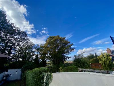 Picture 16